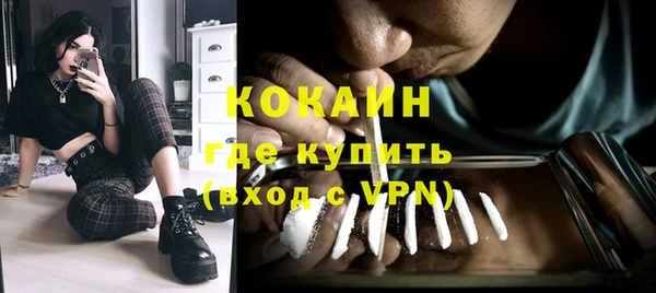 прущие грибы Наволоки