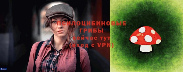 мяу мяу мука Надым
