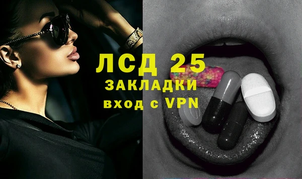 прущие грибы Наволоки