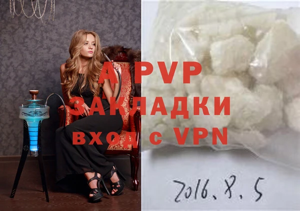 прущие грибы Наволоки