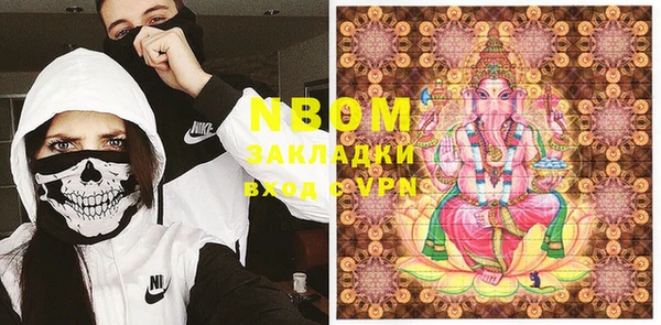 прущие грибы Наволоки