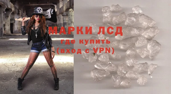 прущие грибы Наволоки