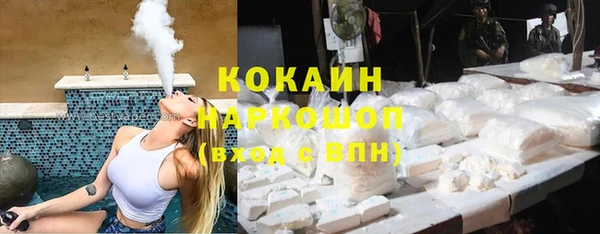 прущие грибы Наволоки